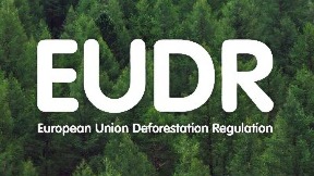 Vodiči za izvoznike drveta